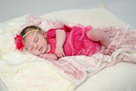 Bree Cowart -1037