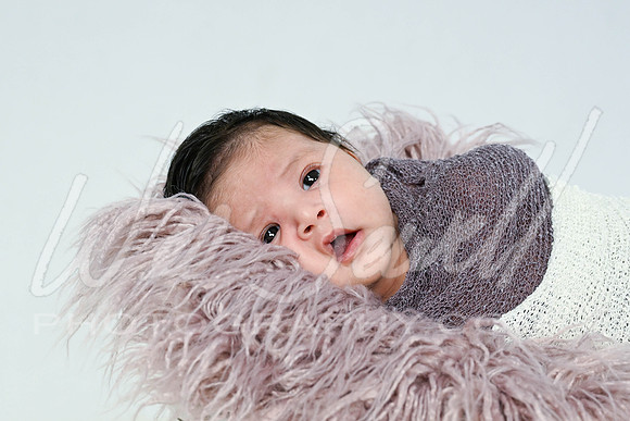 Jennifer Munoz - newborn -1004