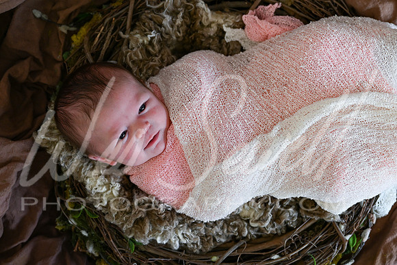 Bree Cowart -1012