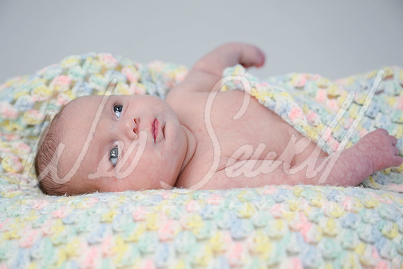 Cailee Herrington 7-31-25 -1003