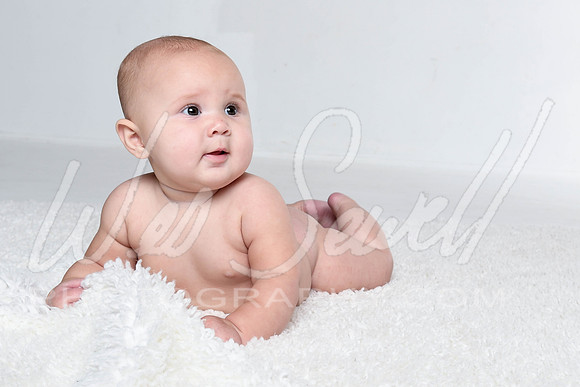 Kalin - Birdie 6 months-3