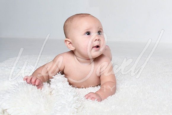 Kalin - Birdie 6 months-14