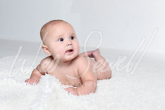 Kalin - Birdie 6 months-6