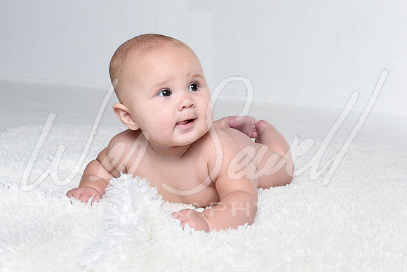 Kalin - Birdie 6 months-7