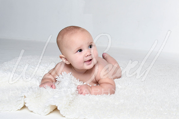 Kalin - Birdie 6 months-11