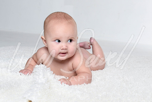 Kalin - Birdie 6 months-5