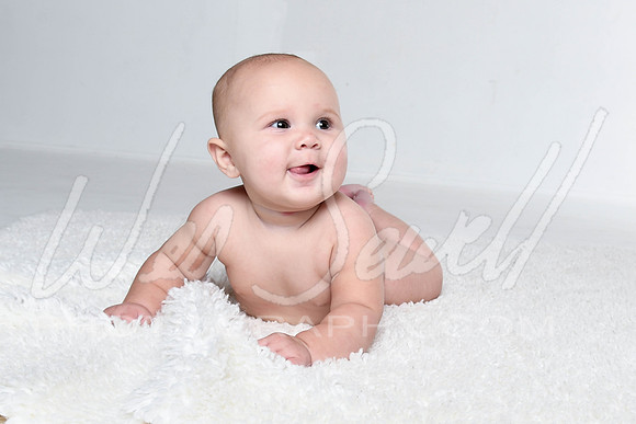 Kalin - Birdie 6 months-8