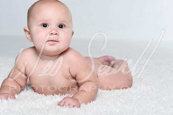 Kalin - Birdie 6 months-1