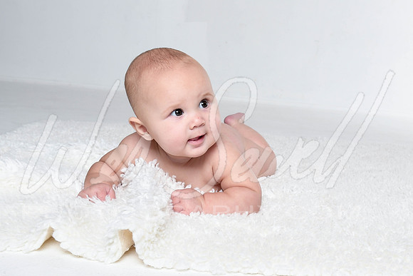 Kalin - Birdie 6 months-10