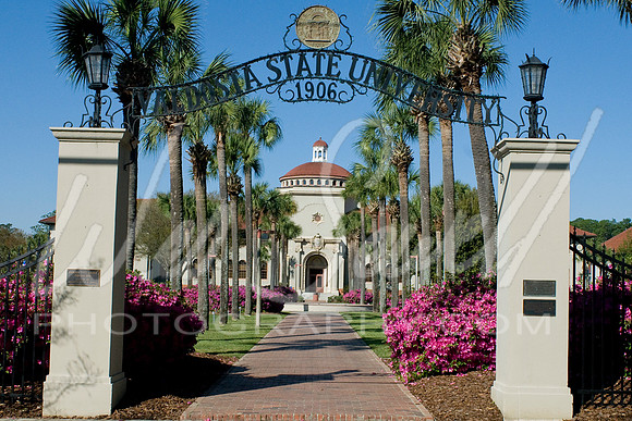 VSU1