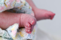 Cailee Herrington 7-31-25 -1015