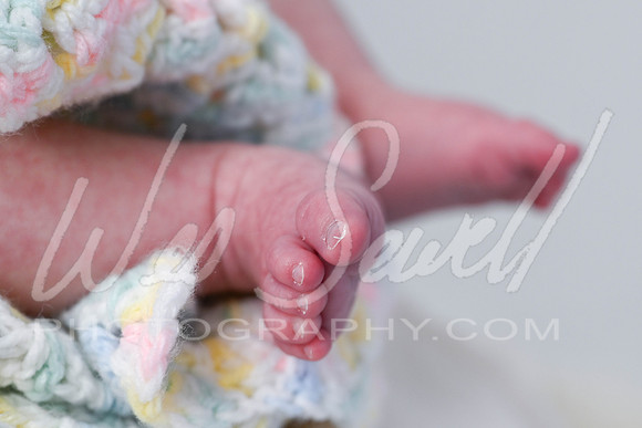 Cailee Herrington 7-31-25 -1015