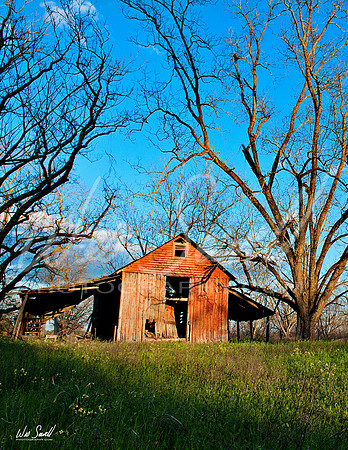 Wes_001 copy   for cover