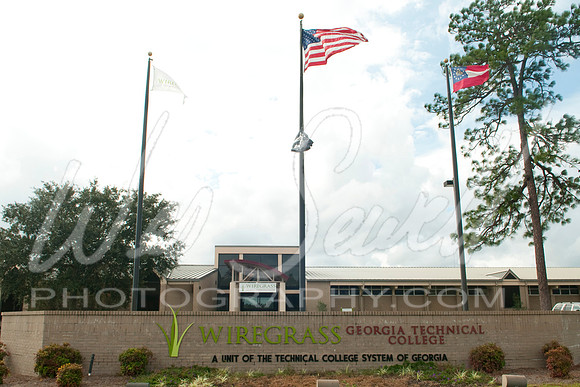 Wiregrass2