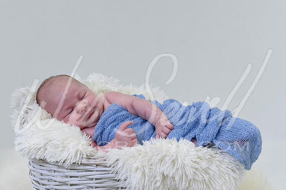 Justin and Laura - Newborn-1017