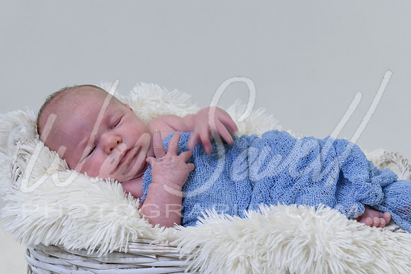 Justin and Laura - Newborn-1016