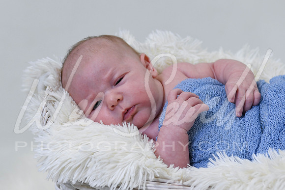 Justin and Laura - Newborn-1015