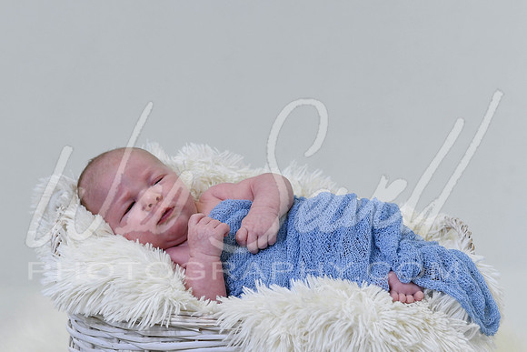 Justin and Laura - Newborn-1018