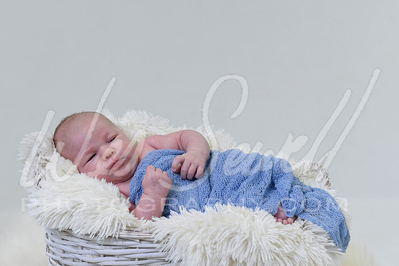 Justin and Laura - Newborn-1019