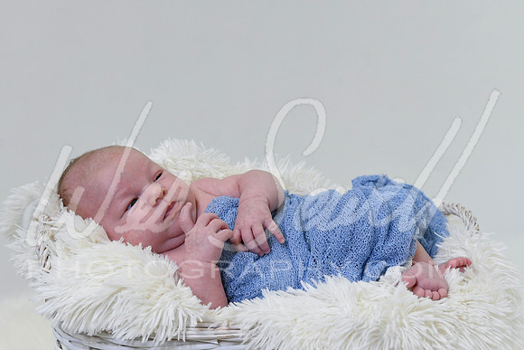 Justin and Laura - Newborn-1020
