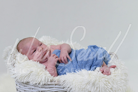 Justin and Laura - Newborn-1021