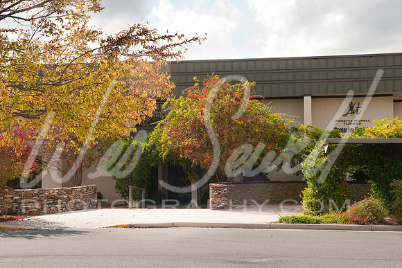 AnnetteTurnerArtCenter1