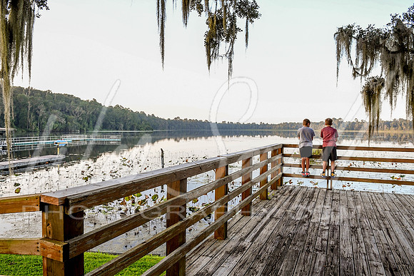 Grassy Pond-13