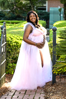 Pregnancy Session