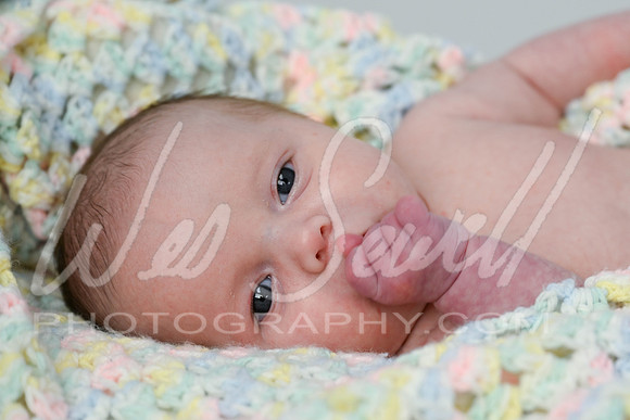 Cailee Herrington 7-31-25 -1011