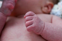 Cailee Herrington 7-31-25 -1013