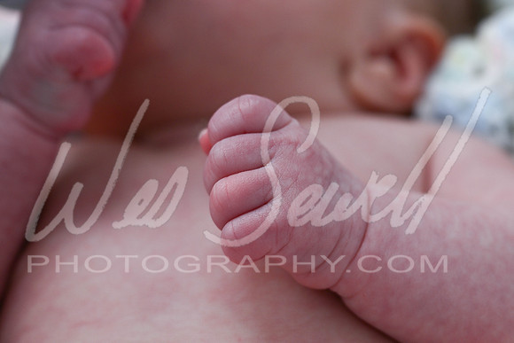Cailee Herrington 7-31-25 -1013