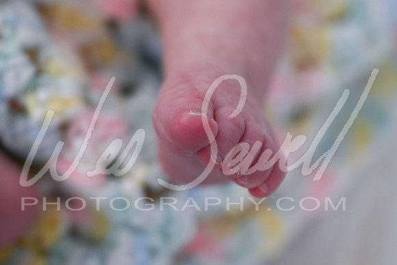Cailee Herrington 7-31-25 -1014