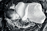 Newborn