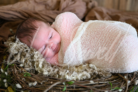 Bree Cowart -1005