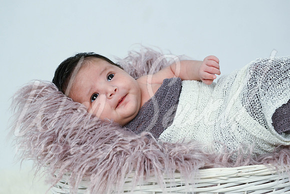 Jennifer Munoz - newborn -1021