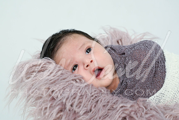 Jennifer Munoz - newborn -1007