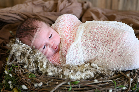 Bree Cowart -1004