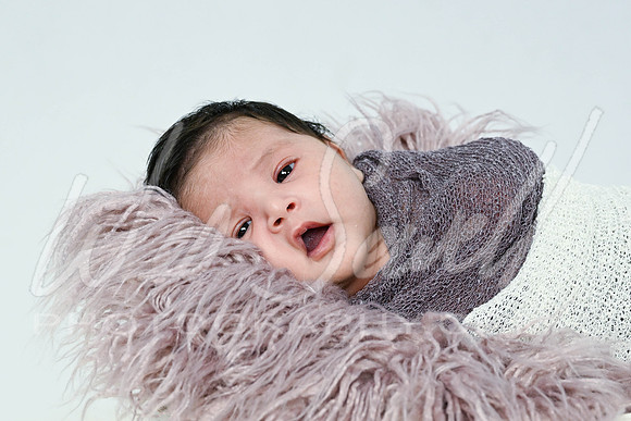 Jennifer Munoz - newborn -1001
