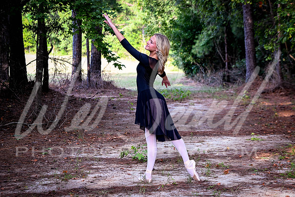 Dance-1066